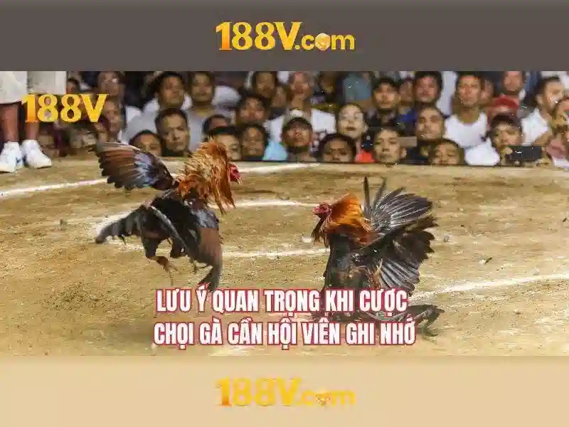 trò chơi 188v