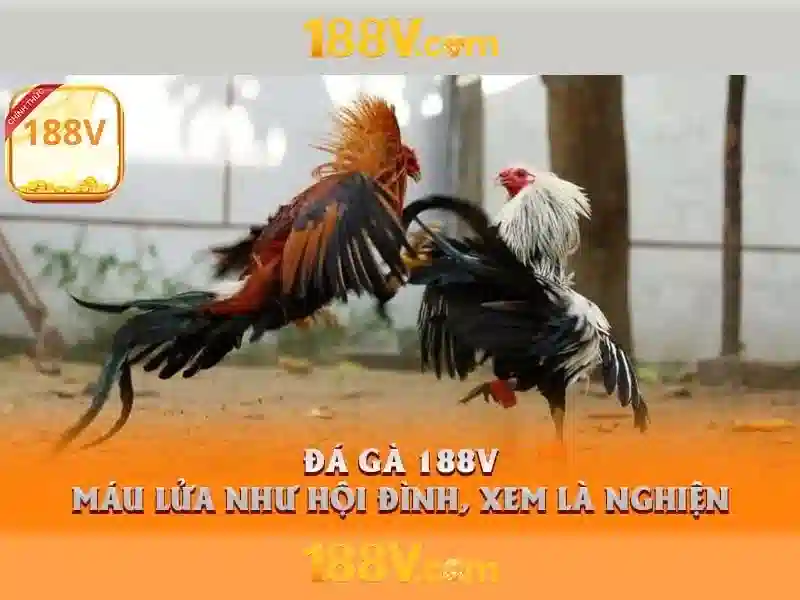 188V – Hướng Dẫn Truy Cập Trang Chủ 188V Không Bị Chặn 2026