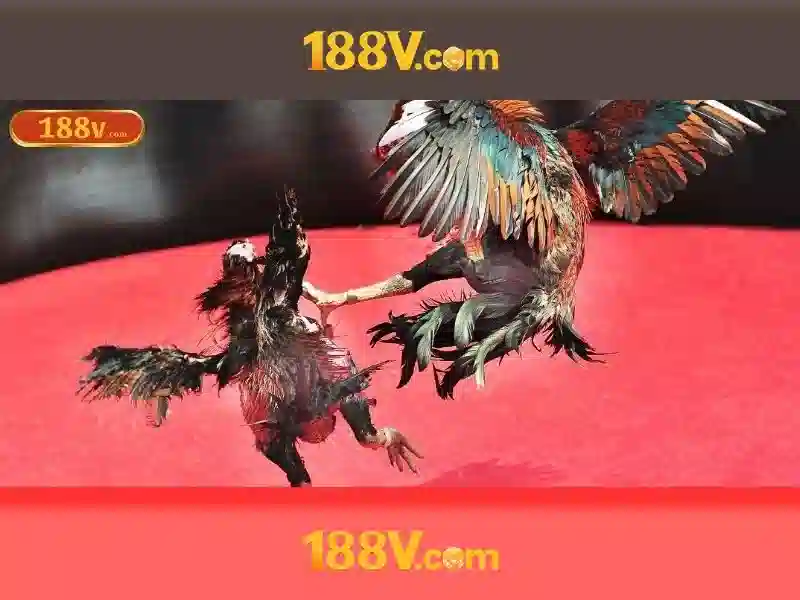 Nền Tảng Slot Hợp Pháp