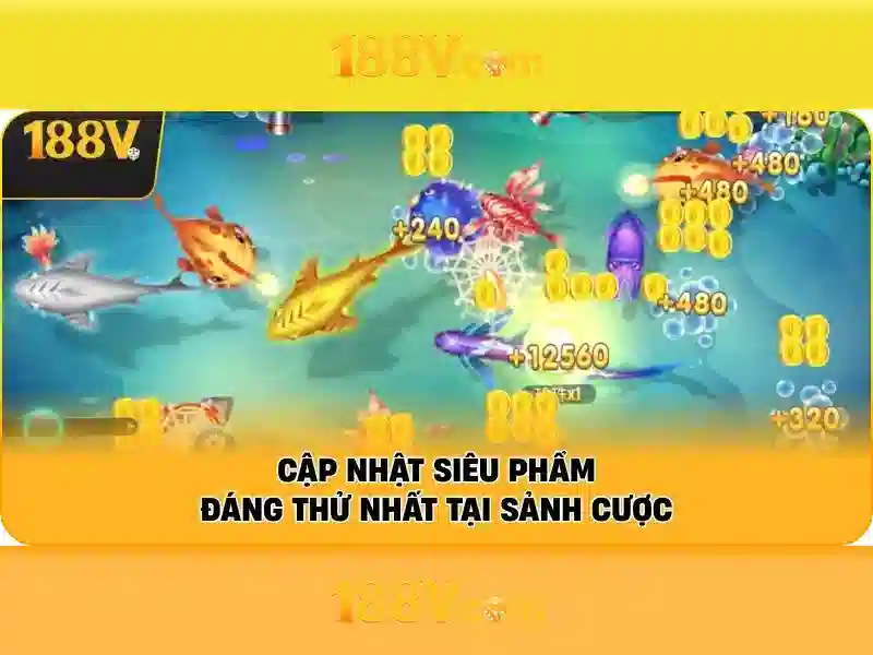 Khuyến Mãi