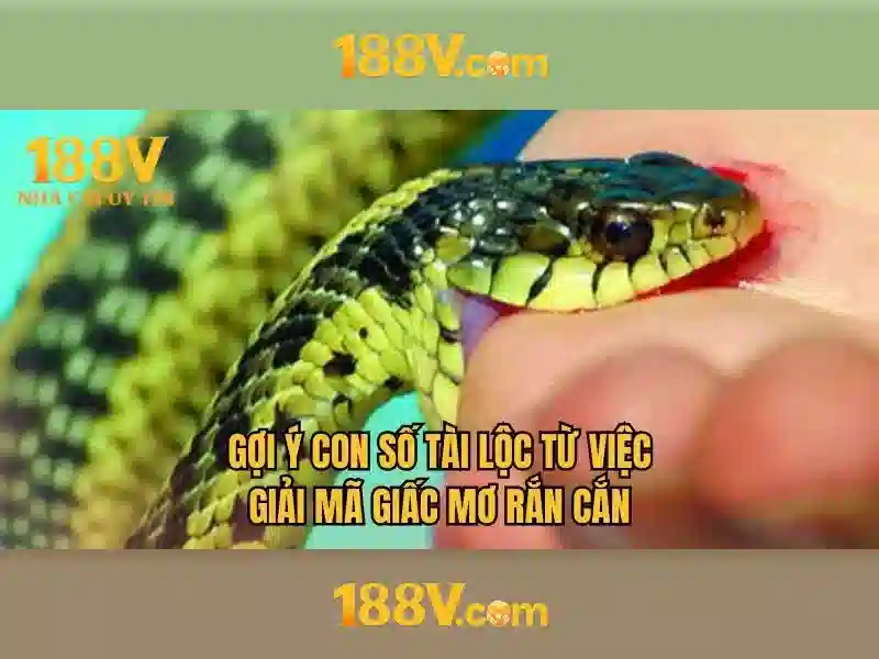 Ưu Đãi Đặc Biệt Cho Thành Viên 188V