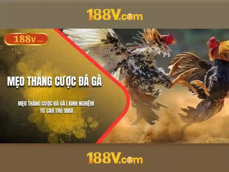 Đa Dạng Thể Loại Game Slot
