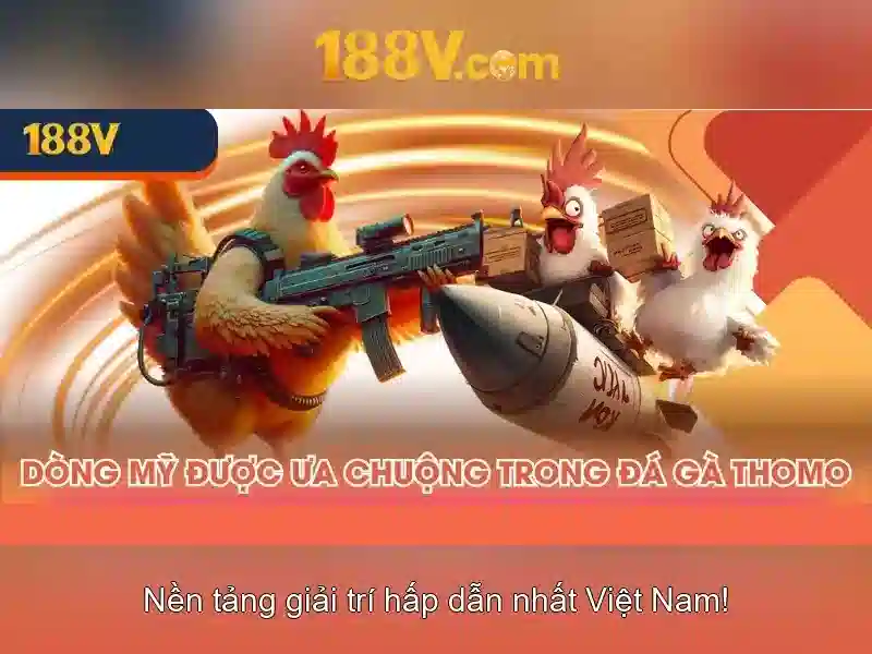 188V – Trải Nghiệm Casino 188V Đỉnh Cao Không Bị Chặn 2026
