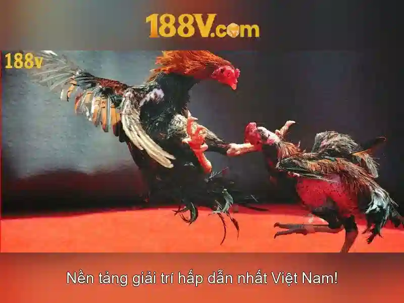 Thanh toán phi tập trung USDT