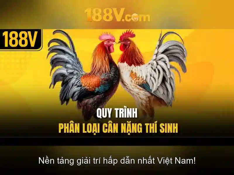Hướng dẫn 188v tải app đơn giản