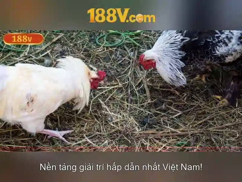 Hướng dẫn đăng ký cá cược thể thao 188v