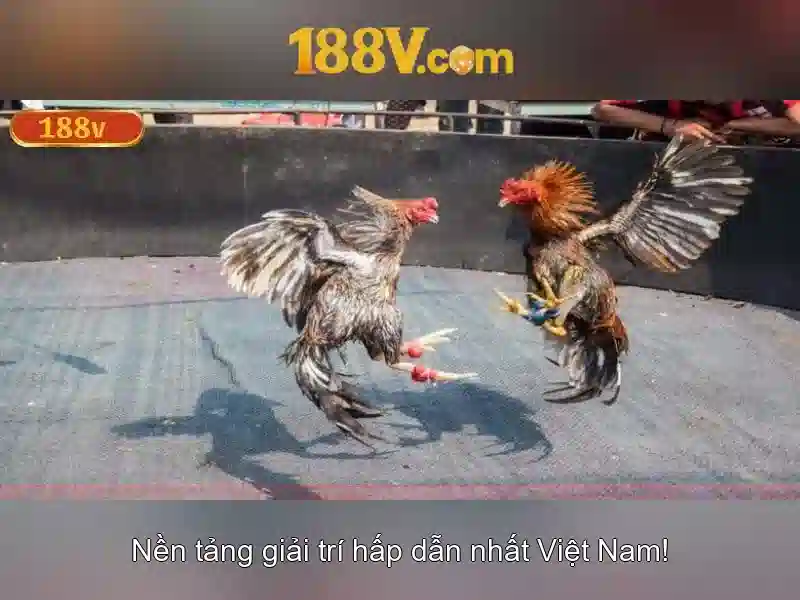Trải Nghiệm Cá Cược Đỉnh Cao
