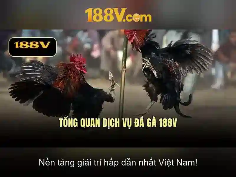 188V - Giải Pháp Cá Cược Đỉnh Cao