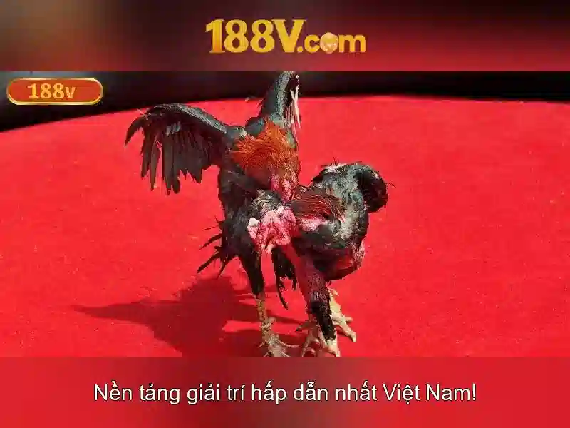 Trải Nghiệm Chơi Slot Đỉnh Cao Không Giới Hạn