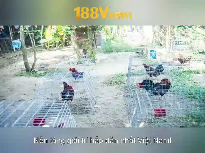 Tải App 188V - Trải Nghiệm Cá Cược Đỉnh Cao