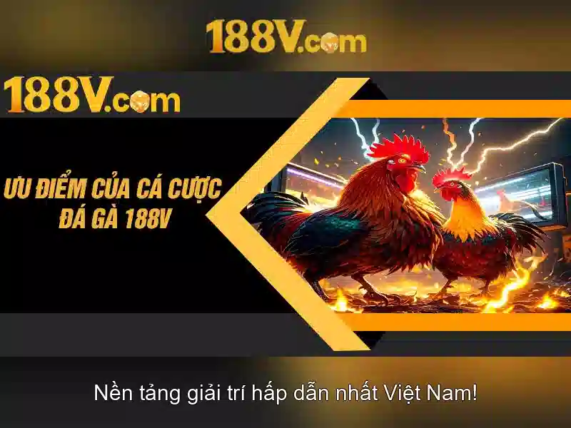 Trải nghiệm cá cược đỉnh cao tại 188V