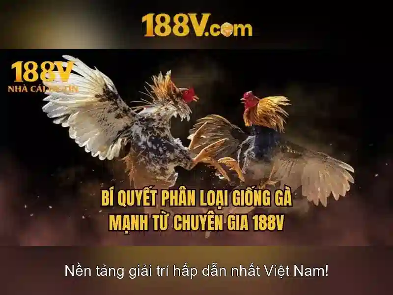 Ưu điểm slot 188V