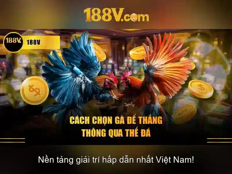 Các kênh hỗ trợ 188V