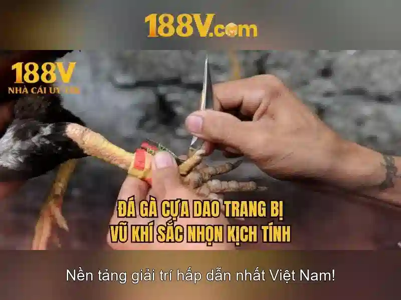 Ưu Đãi Slot