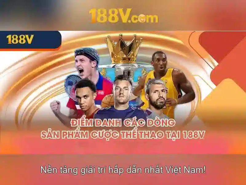 Quyền riêng tư 188V