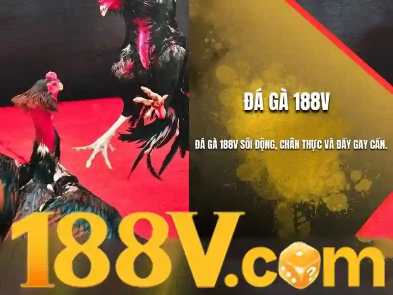 Giftcode Slot 188V và Trải Nghiệm Chơi